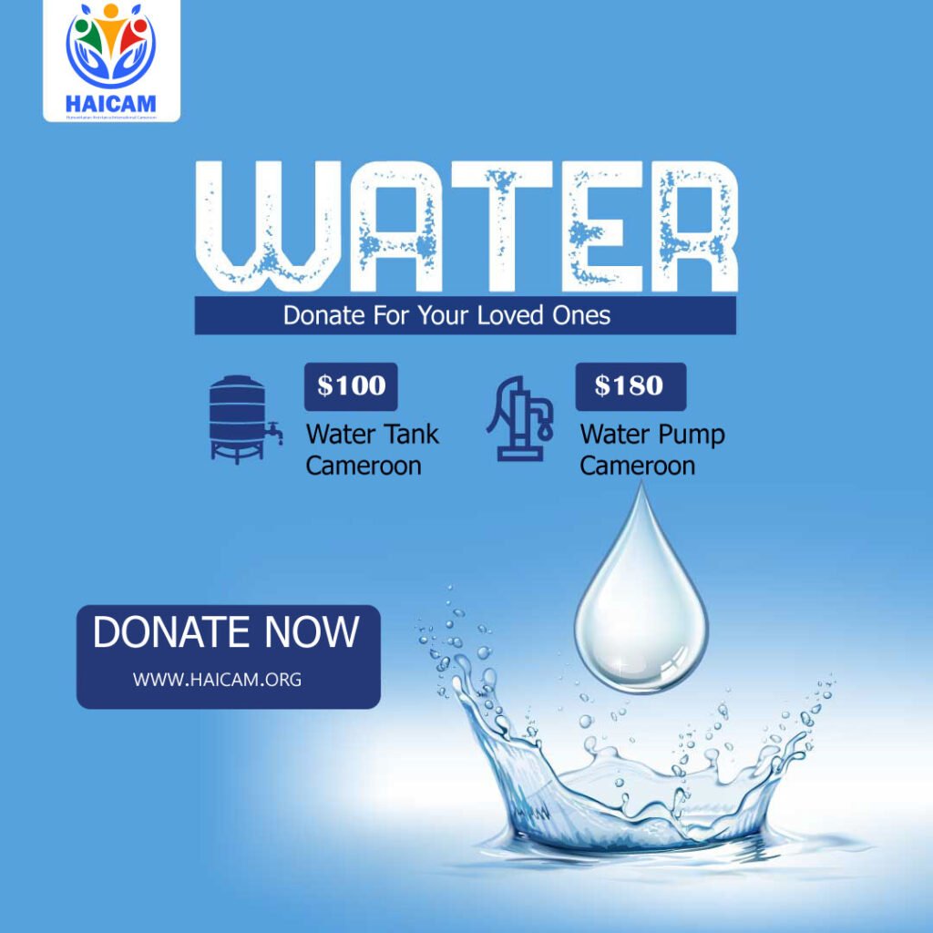 HAICAM donates a $100 water tank and $180 hand pump to a rural Cameroonian village to improve access to clean water.